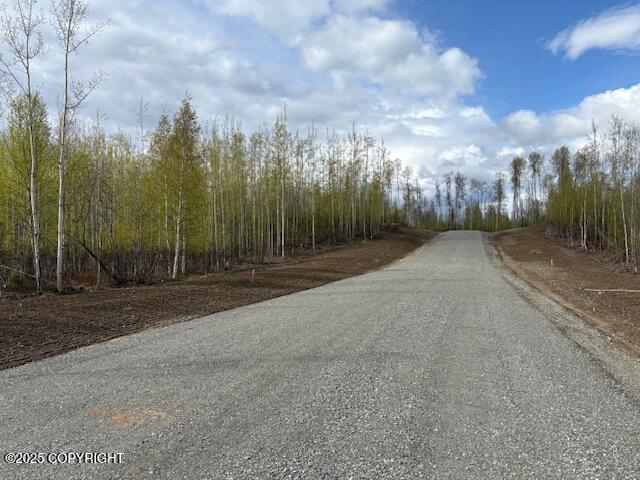 L5 B2 W Peak Circle, Big Lake, Alaska image 4