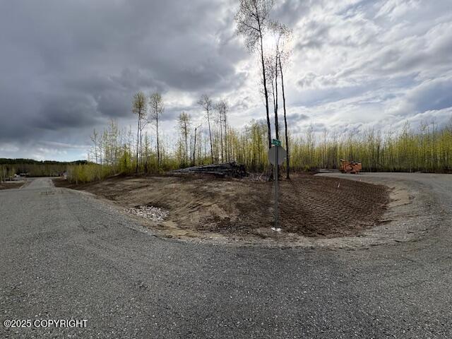 L5 B2 W Peak Circle, Big Lake, Alaska image 3