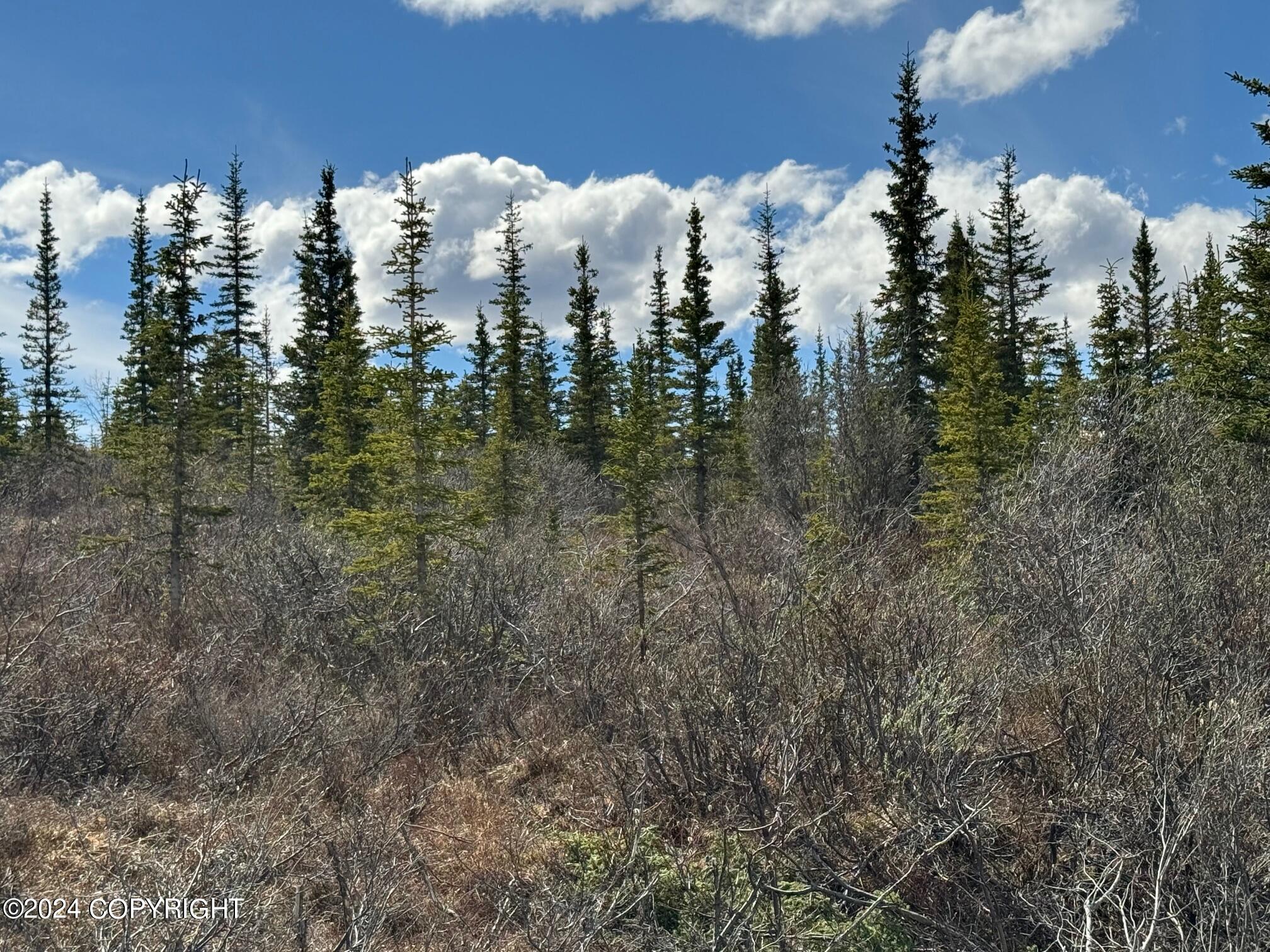 L36 Spontaneous Street, Cantwell, Alaska image 18