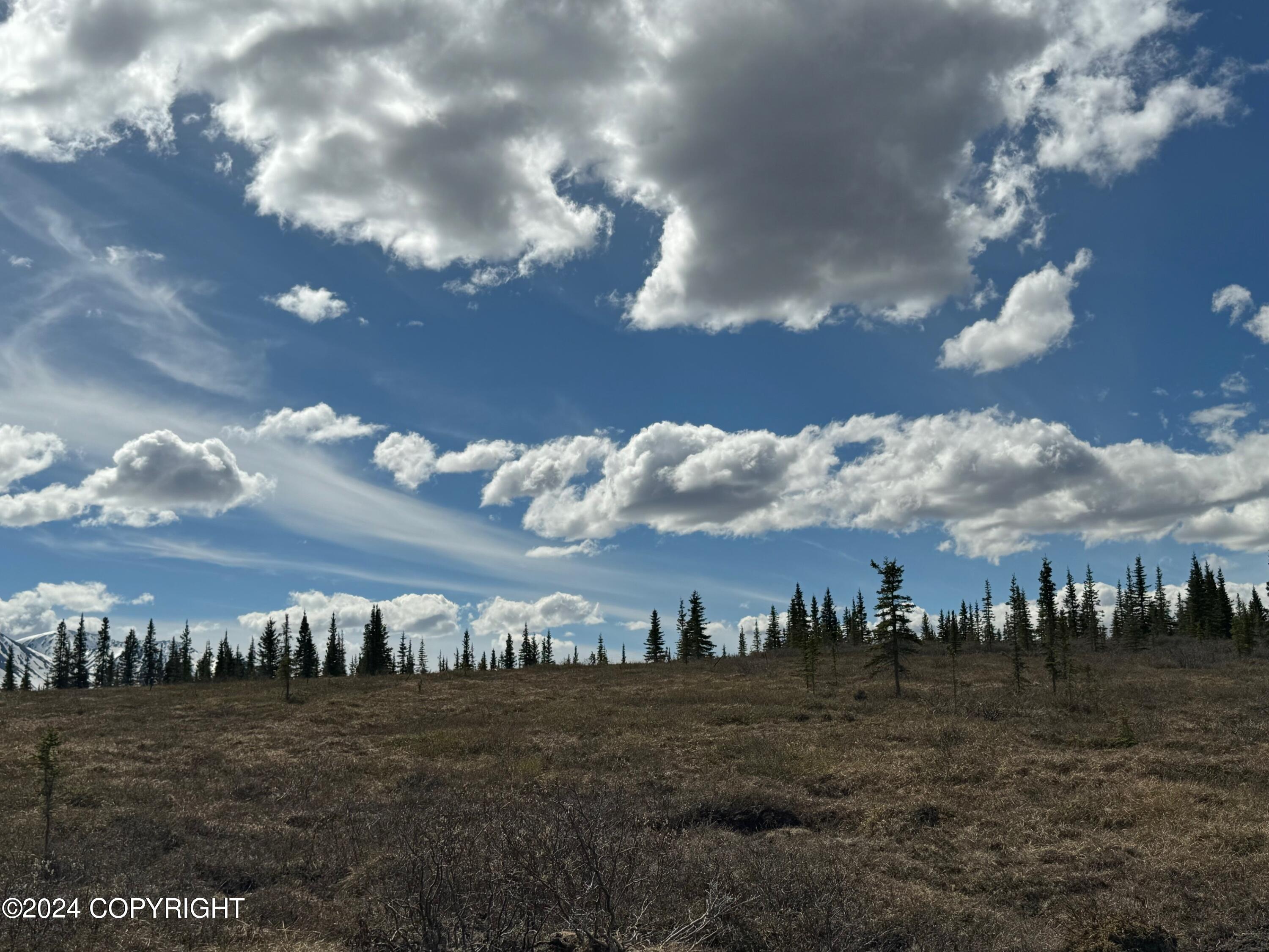 L36 Spontaneous Street, Cantwell, Alaska image 16