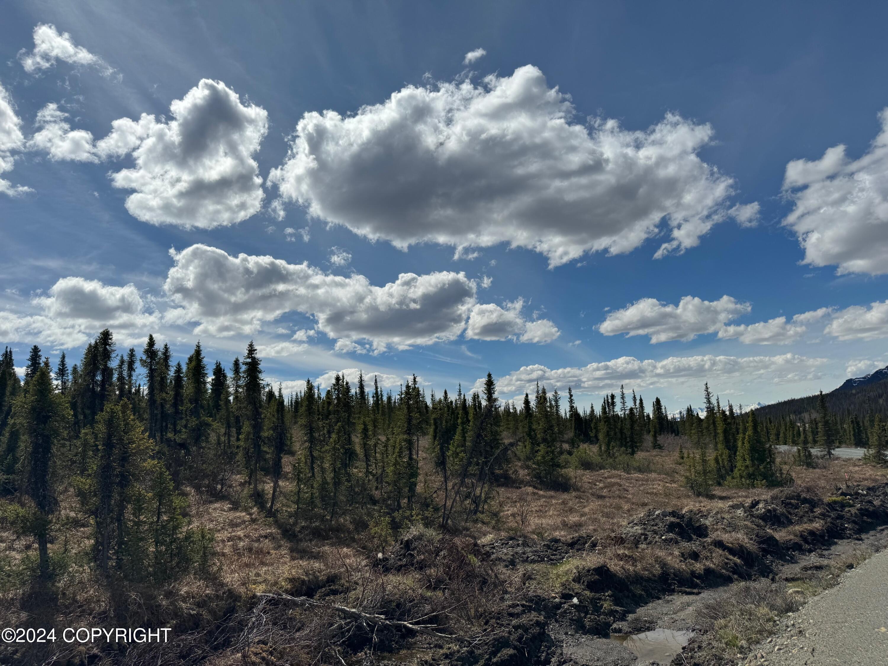 L36 Spontaneous Street, Cantwell, Alaska image 7