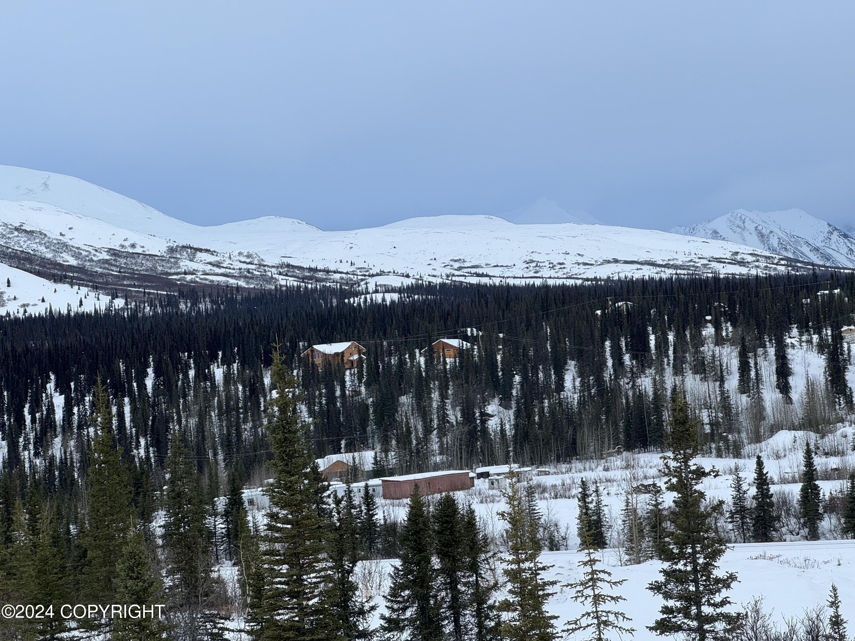 L36 Spontaneous Street, Cantwell, Alaska image 26