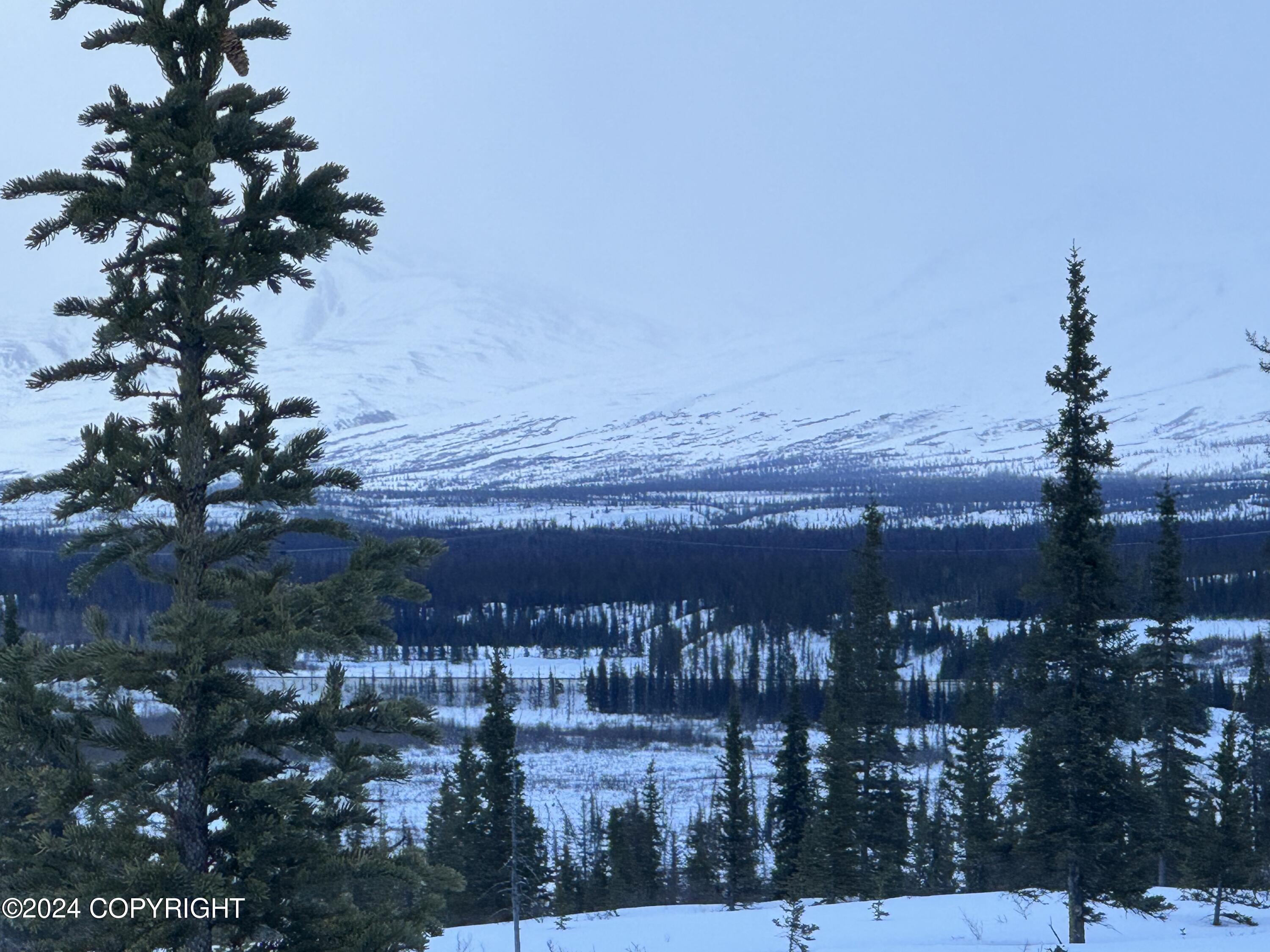 L36 Spontaneous Street, Cantwell, Alaska image 32