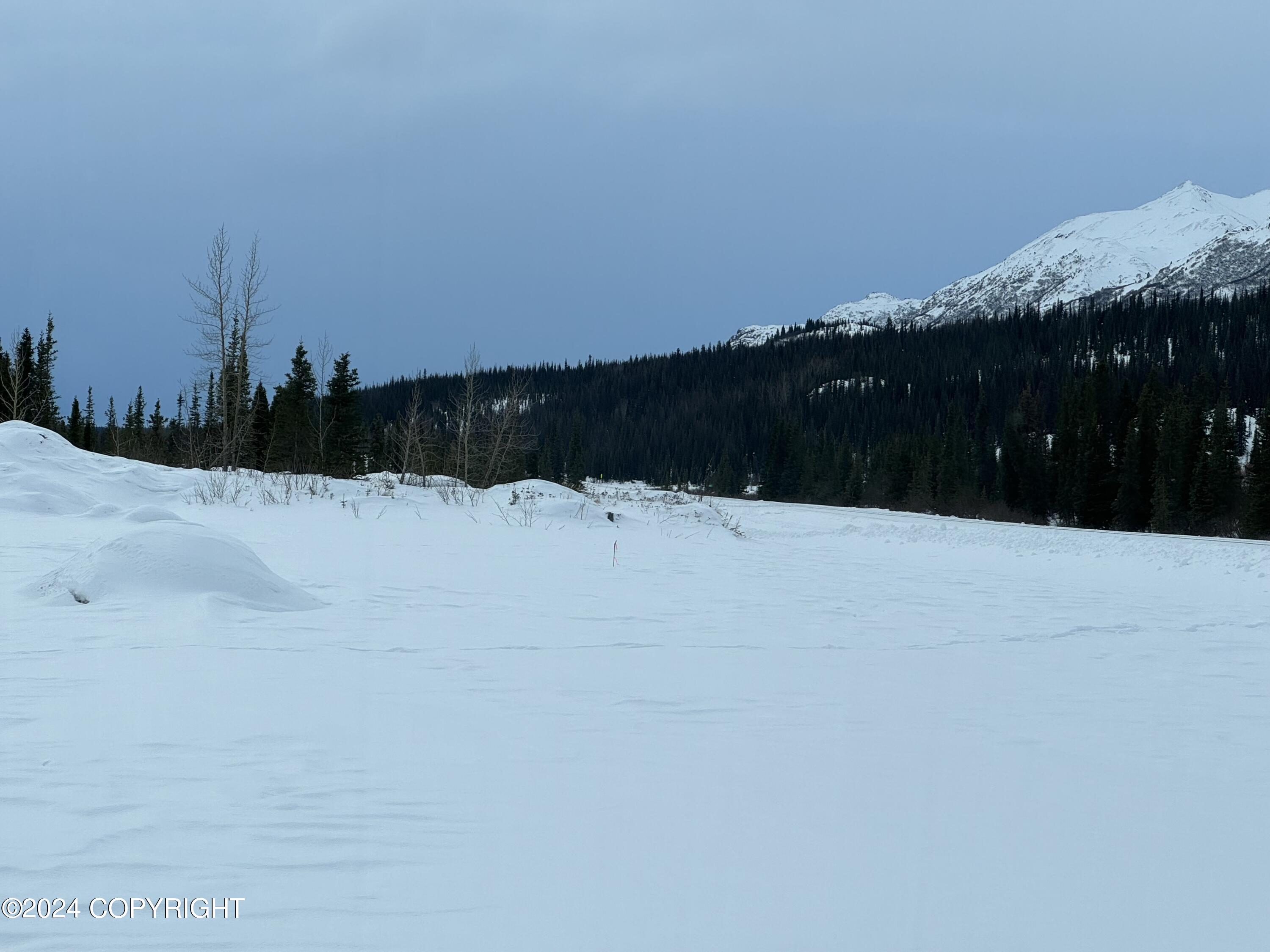 L36 Spontaneous Street, Cantwell, Alaska image 30