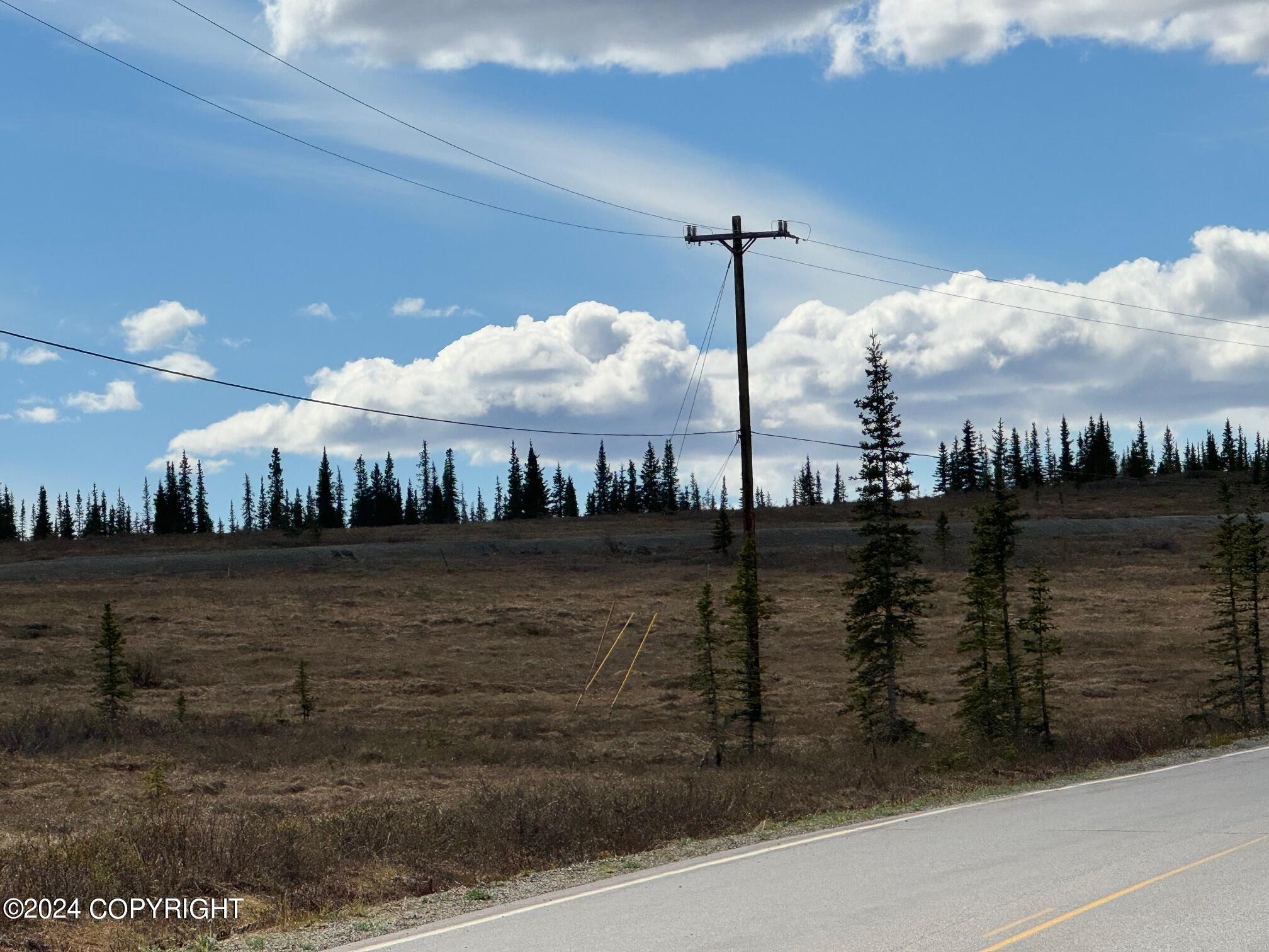 L36 Spontaneous Street, Cantwell, Alaska image 24