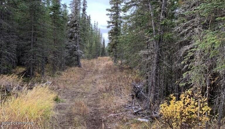 25781 Susan Drive, Kasilof, Alaska image 4