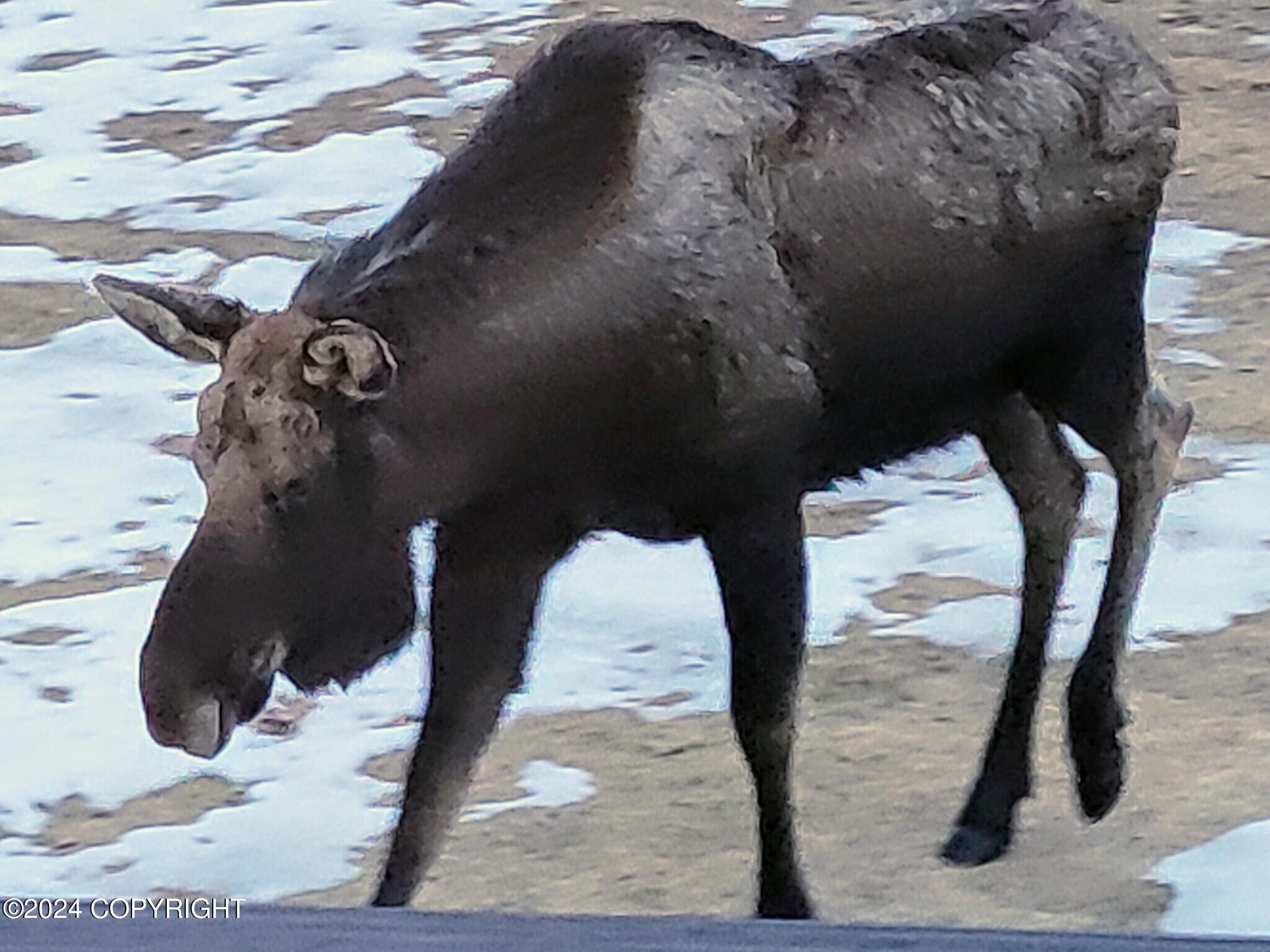 33035 Merkes Road, Sterling, Alaska image 39