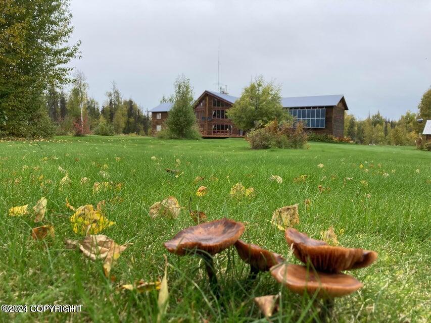 L2 B2 E Bentalit Village Ave, Skwentna, Alaska image 20
