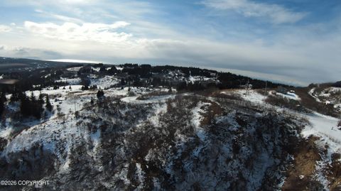 Vacant Land For Sale - 36680 Fox Road<br/> Anchor Point, AK 99556