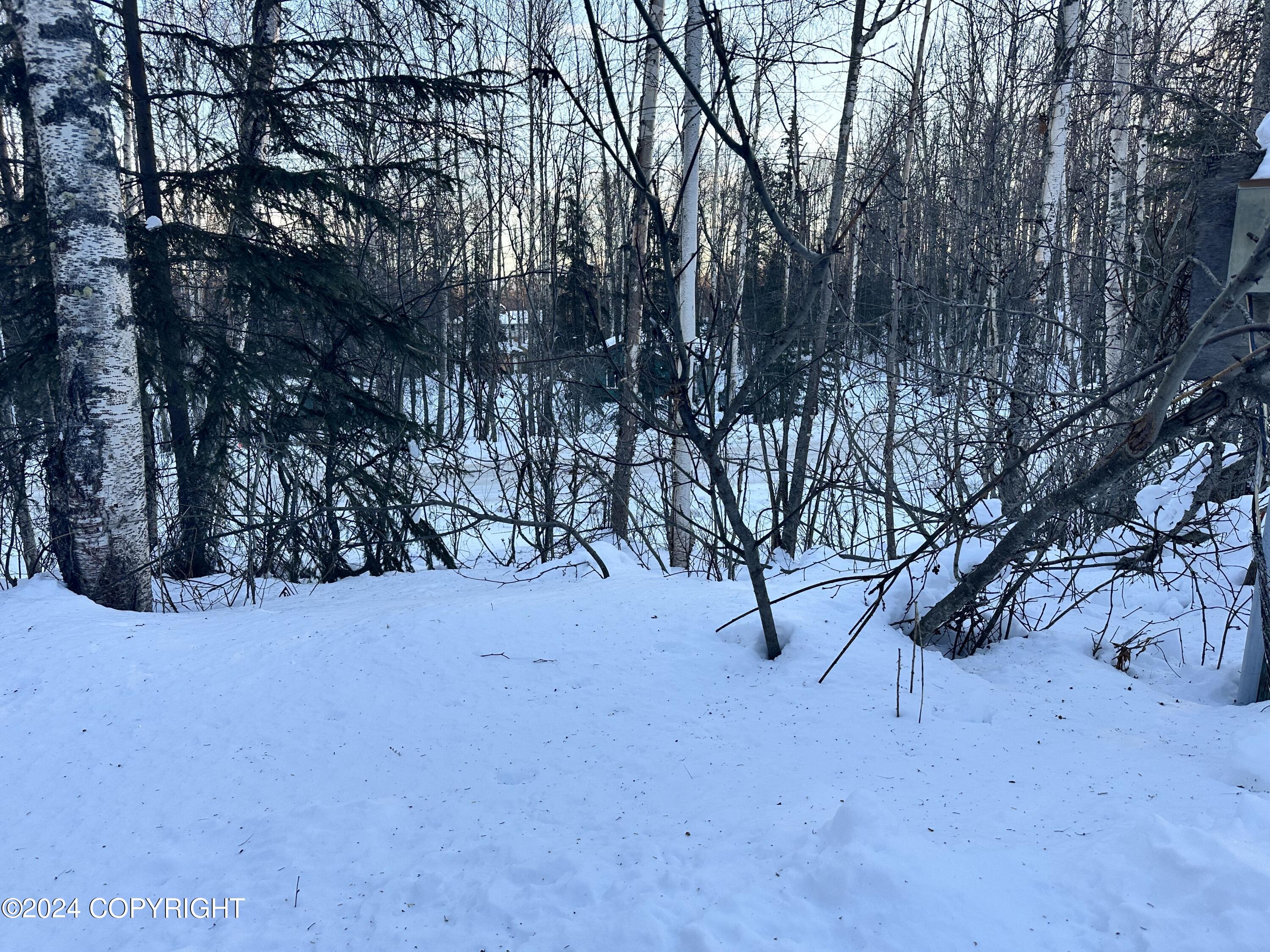 9404 S Starlight Lane, Wasilla, Alaska image 4