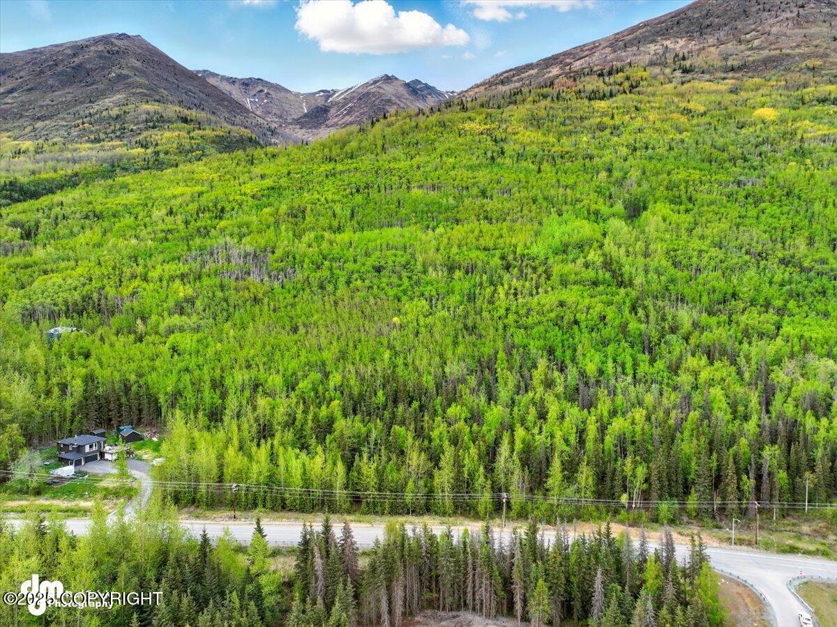 L12 Overlook Estates, Eagle River, Alaska image 6