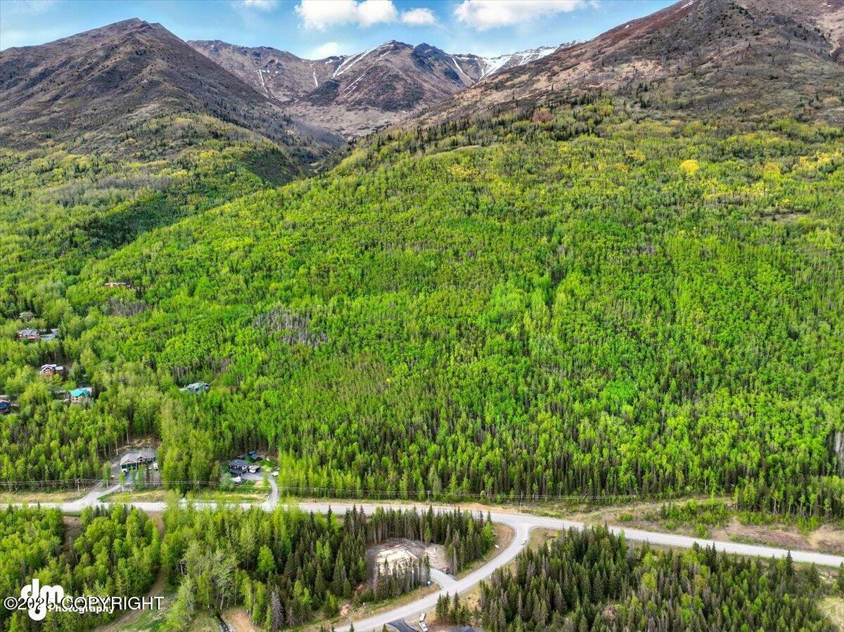 L12 Overlook Estates, Eagle River, Alaska image 15