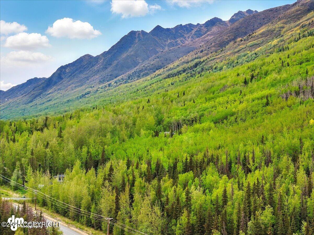 L12 Overlook Estates, Eagle River, Alaska image 23