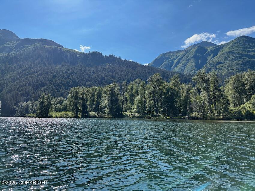 14A&11B Rickard Street, Anchor Point, Alaska image 3