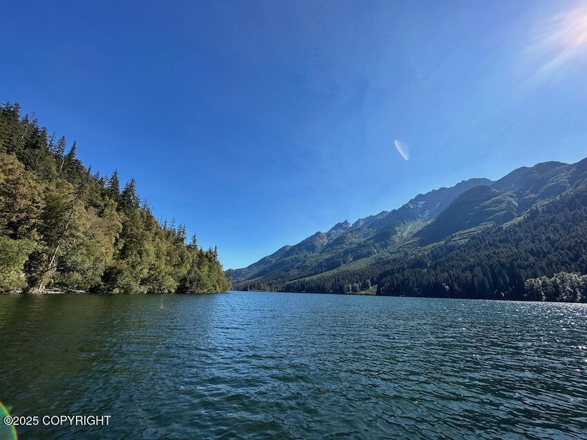 14A&11B Rickard Street, Anchor Point, Alaska image 4