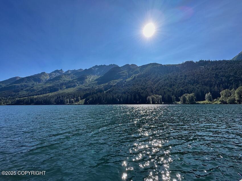 14A&11B Rickard Street, Anchor Point, Alaska image 1