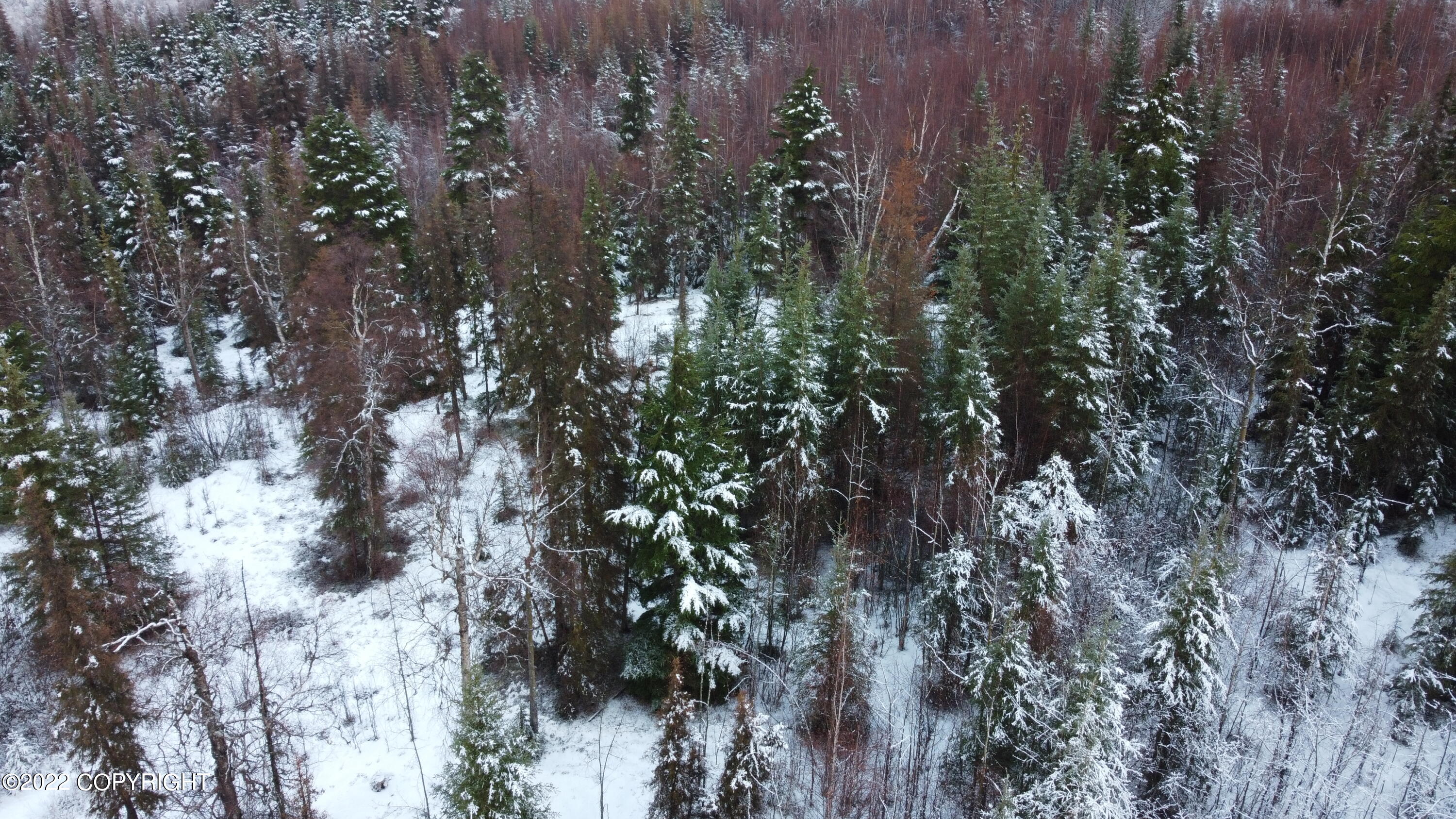 Cooper Landing, Alaska 99572, United States, ,Land,Pending,74087