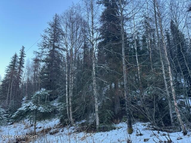 Cooper Landing, Alaska 99572, United States, ,Land,Pending,74087