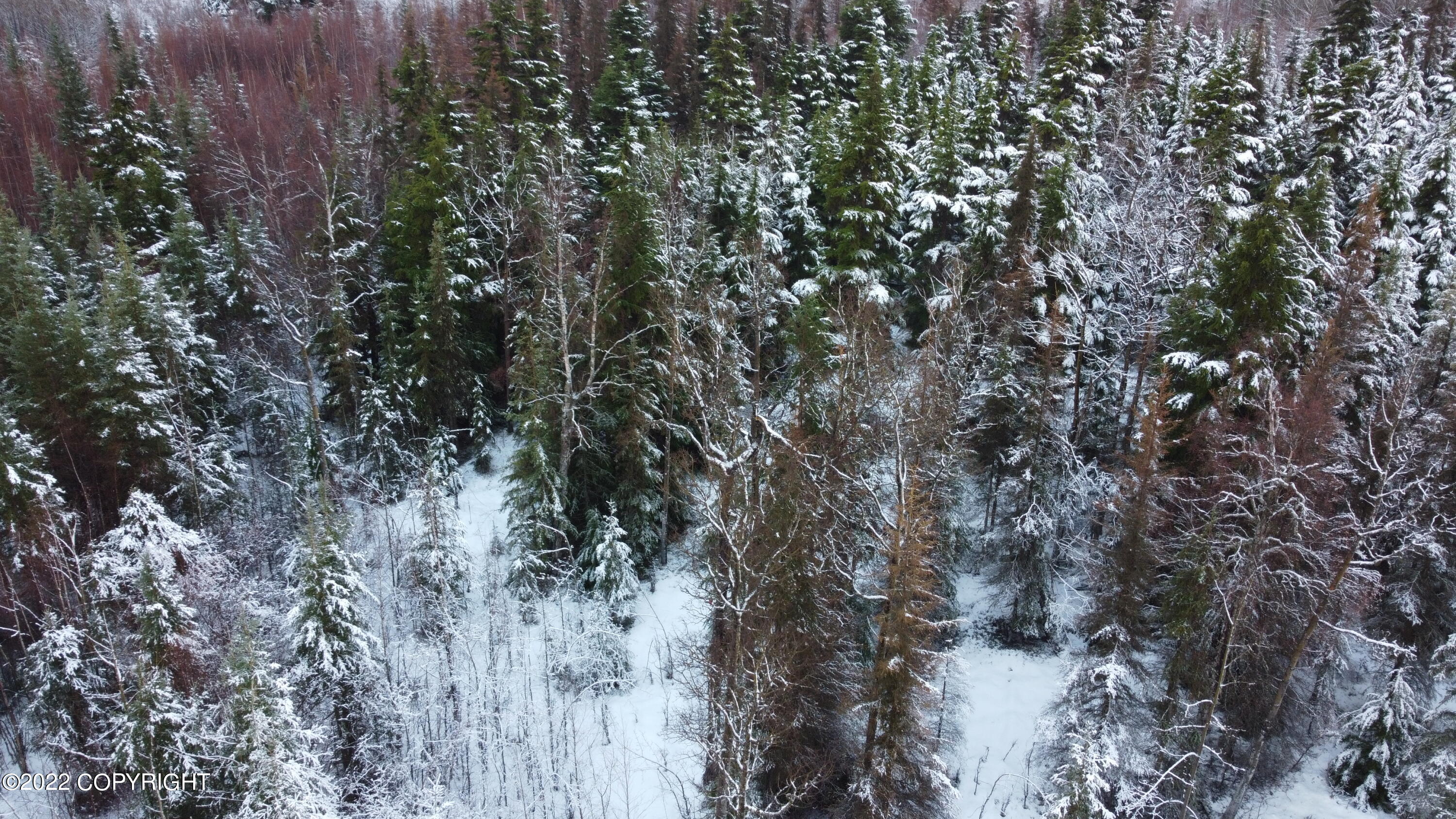 Cooper Landing, Alaska 99572, United States, ,Land,Pending,74087