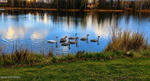Photo of 9732 W Stanley Drive, Wasilla, AK 99623 (MLS # 26-9838)