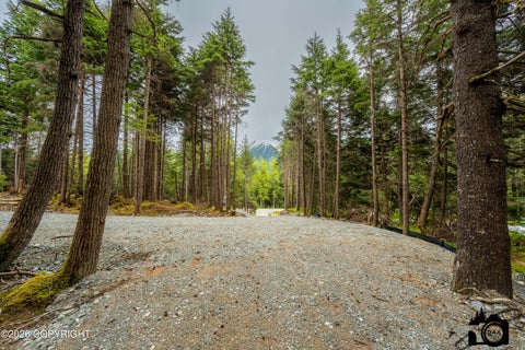 Photo of 168 Meskenik Way, Girdwood, AK 99587 (MLS # 26-8078)
