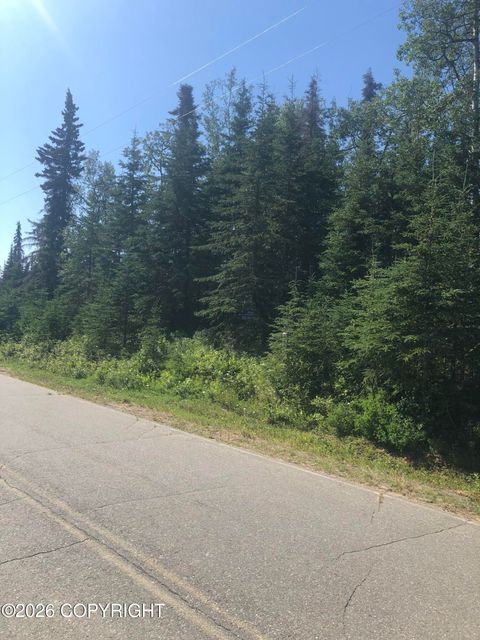 Vacant Land For Sale - 309 Highbush Lane<br/> Kenai, AK 99611
