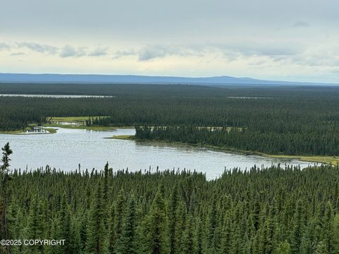 Vacant Land For Sale - L2 Lou Anne Lane<br/> Gakona, AK 99586