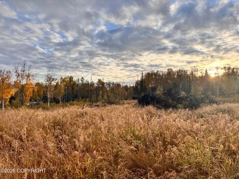 Vacant Land For Sale - 000 W Trumpeter Swan Drive<br/> Wasilla, AK 99654