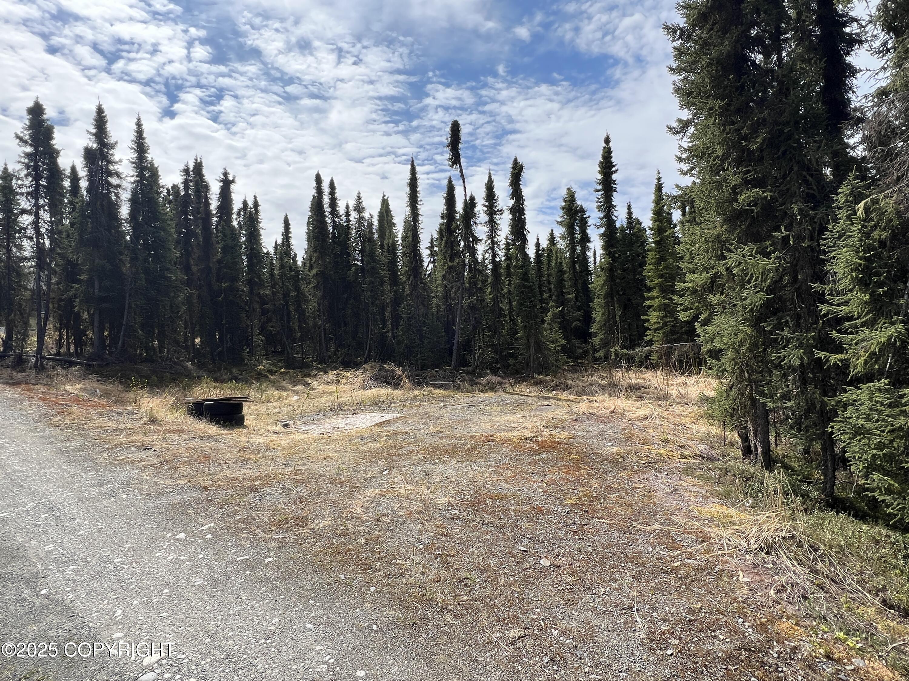 30258 Hook Lane, Soldotna, Alaska image 18