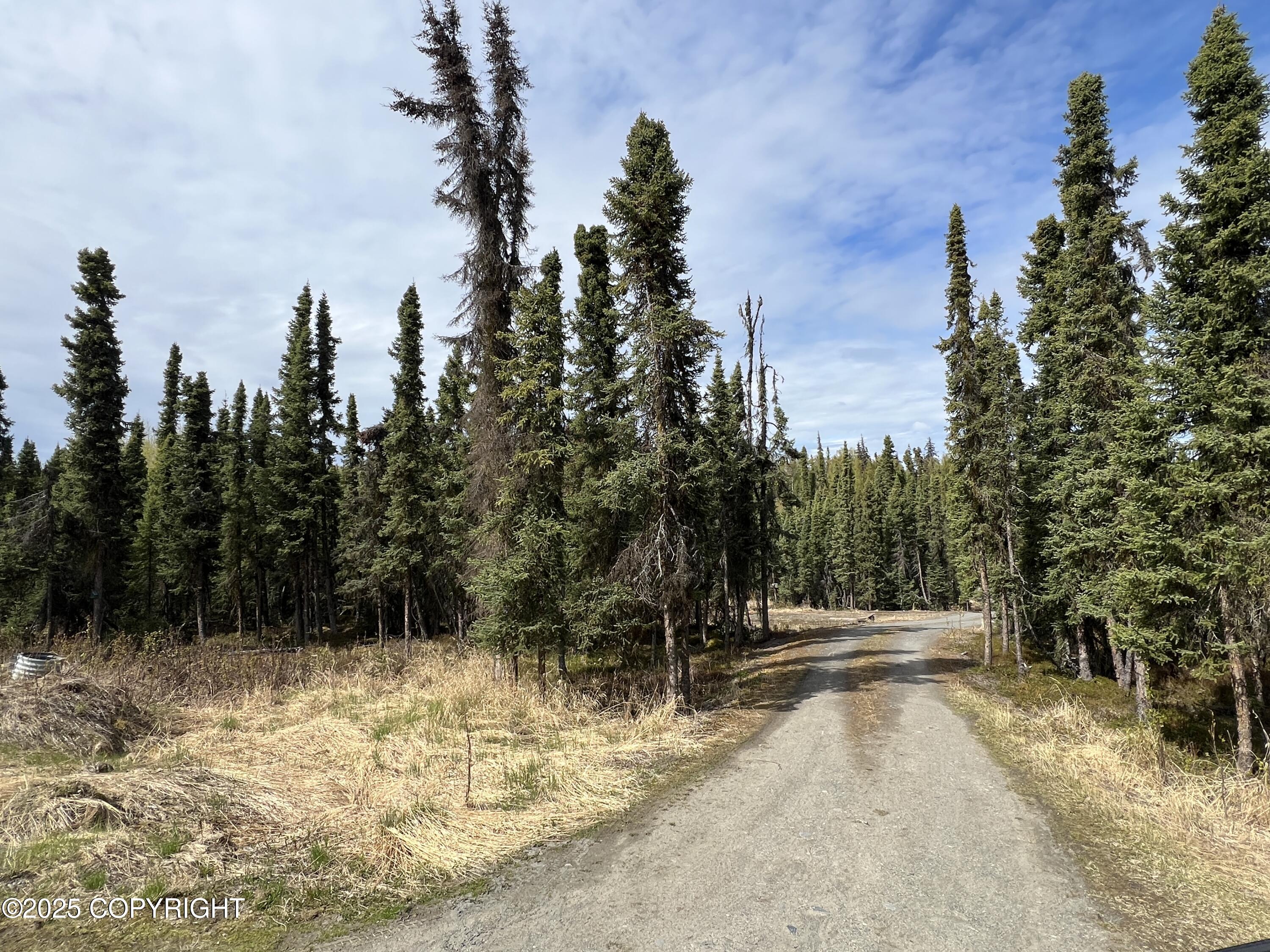 30258 Hook Lane, Soldotna, Alaska image 20