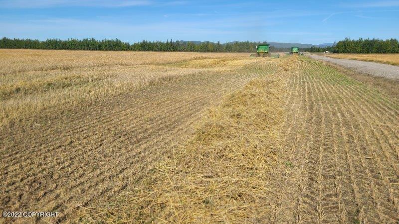 Mile 7 Rapeseed Way, Delta Junction, Alaska image 14