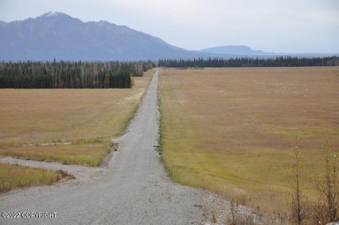 Mile 7 Rapeseed Way Delta Junction AK 99737