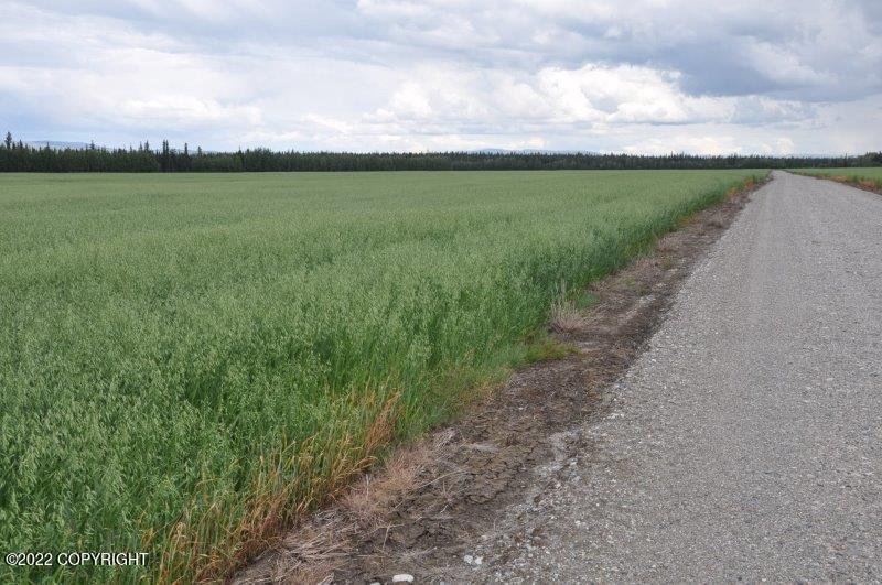 Mile 7 Rapeseed Way, Delta Junction, Alaska image 5