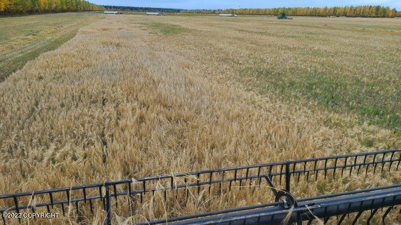 Mile 7 Rapeseed Way, Delta Junction, Alaska image 13