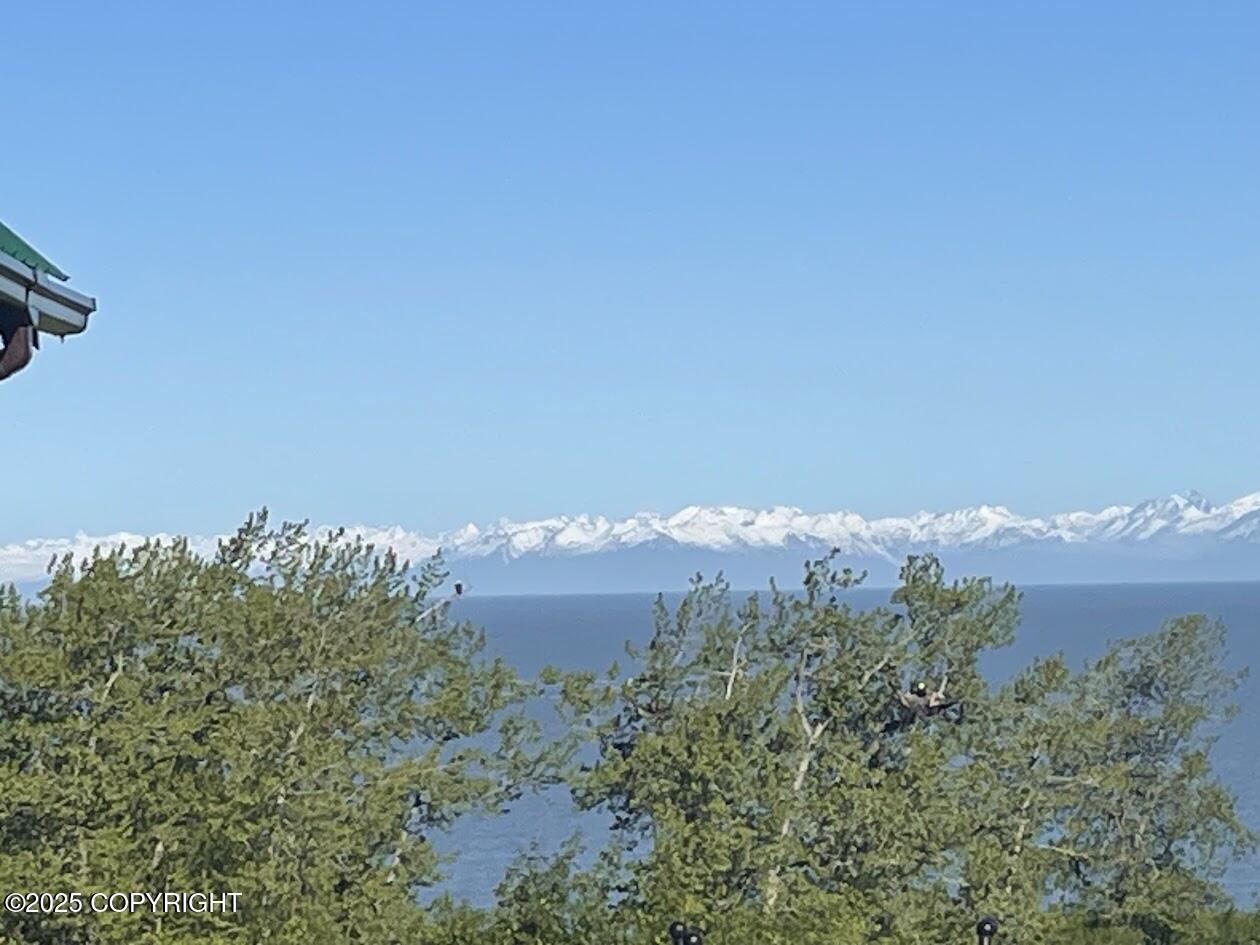 12829 Frontage Road, Ninilchik, Alaska image 3