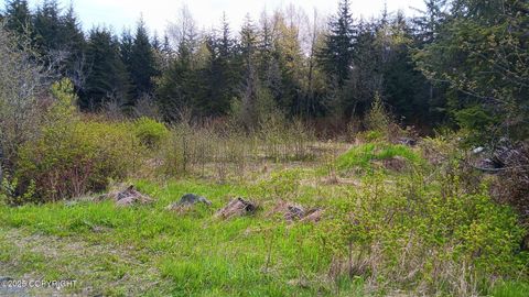 Photo of 000 Sawmill Creek Road, Haines, AK 99827 (MLS # 25-6655) Photo of 000 Sawmill Creek Road, Haines, AK 99827 (MLS # 25-6655)