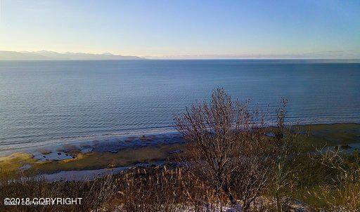 1429 Sterling Highway, Homer, Alaska image 13