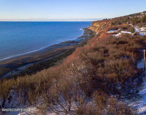 1429 Sterling Highway, Homer, Alaska image 16