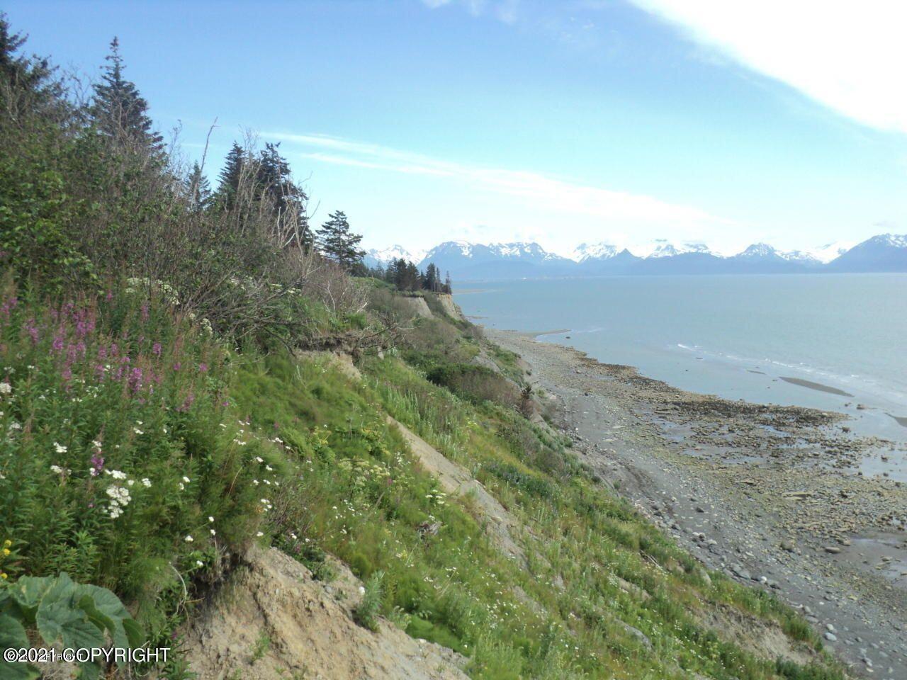 1429 Sterling Highway, Homer, Alaska image 24