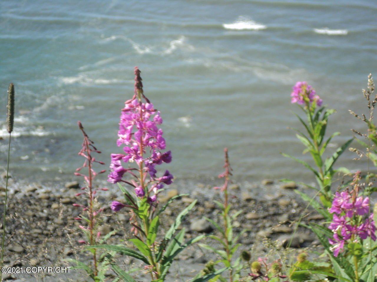 1429 Sterling Highway, Homer, Alaska image 31