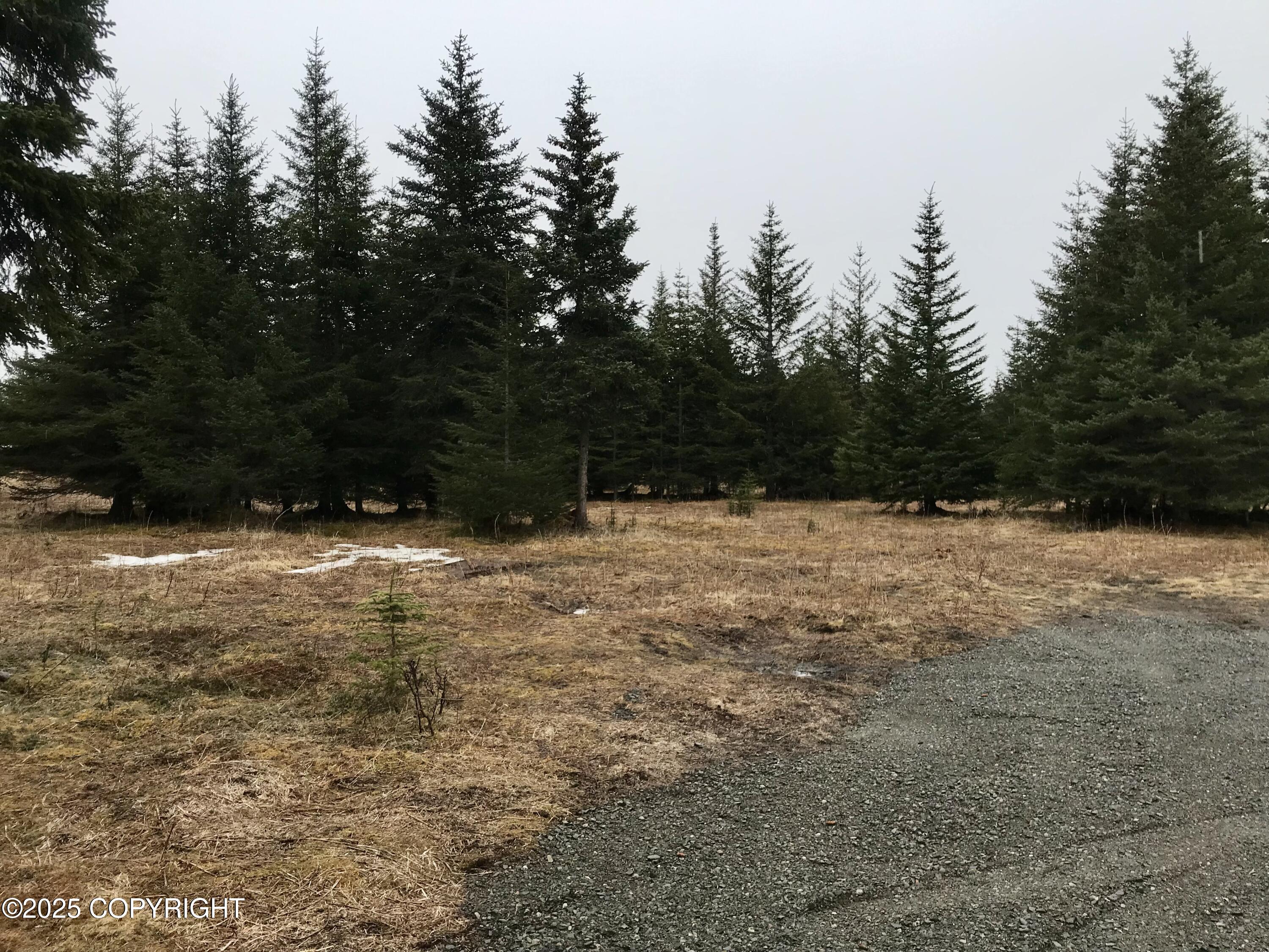 70859 Tall Tree Avenue, Anchor Point, Alaska image 10