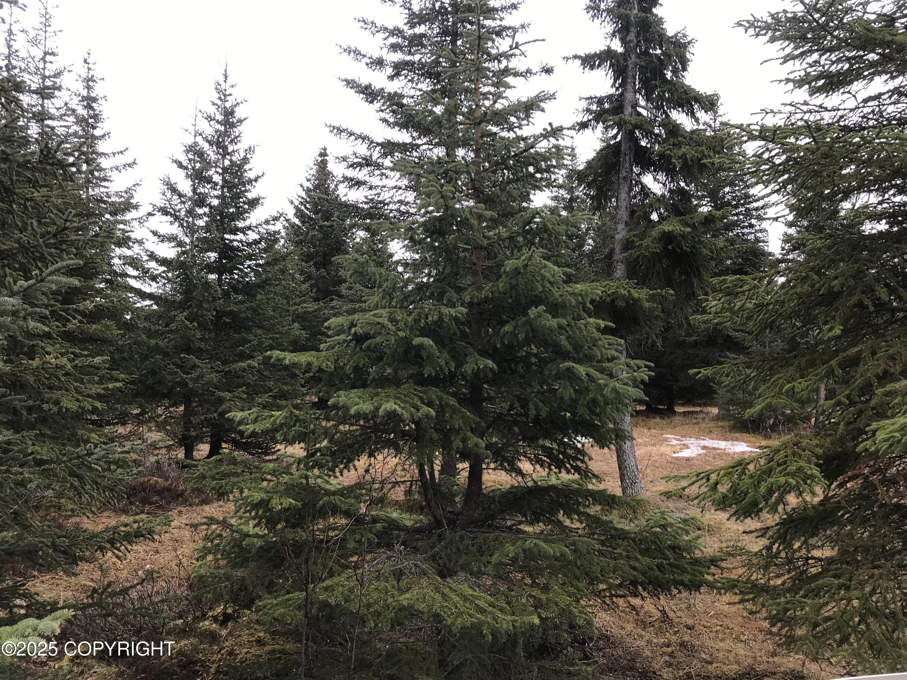 70859 Tall Tree Avenue, Anchor Point, Alaska image 11