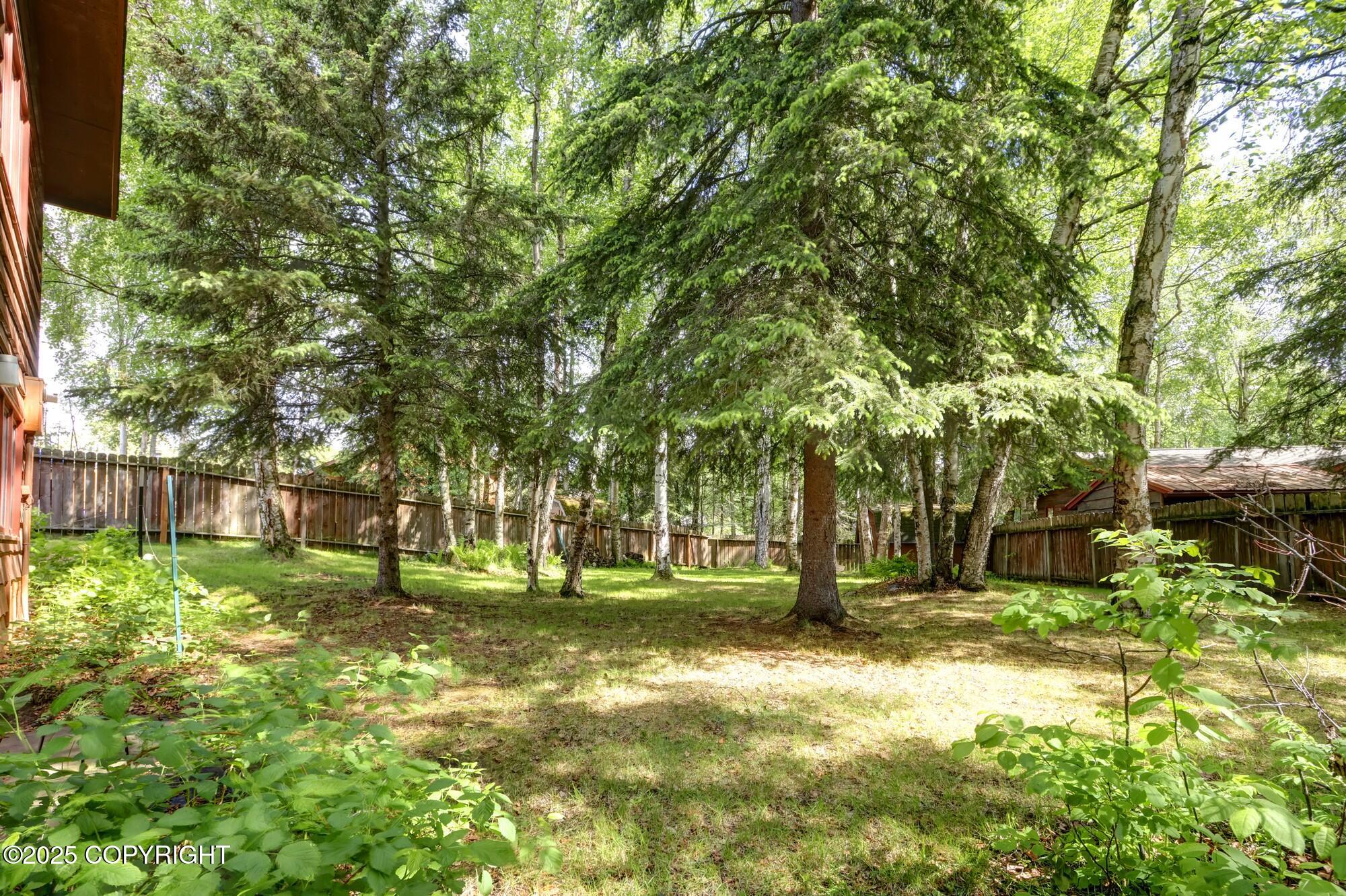 12921 Silver Spruce Drive, Anchorage, Alaska image 43