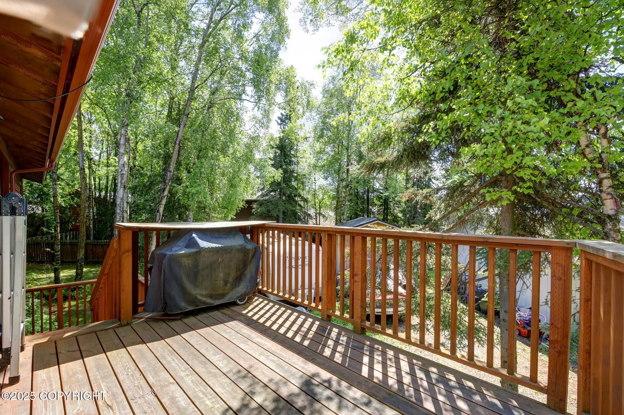 12921 Silver Spruce Drive, Anchorage, Alaska image 39