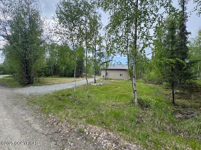 12349 Looking Glass Drive, Houston, Alaska image 6