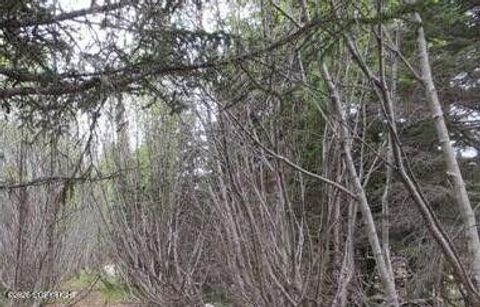 Vacant Land For Sale - 58088 Faccio Road<br/> Clam Gulch, AK 99568