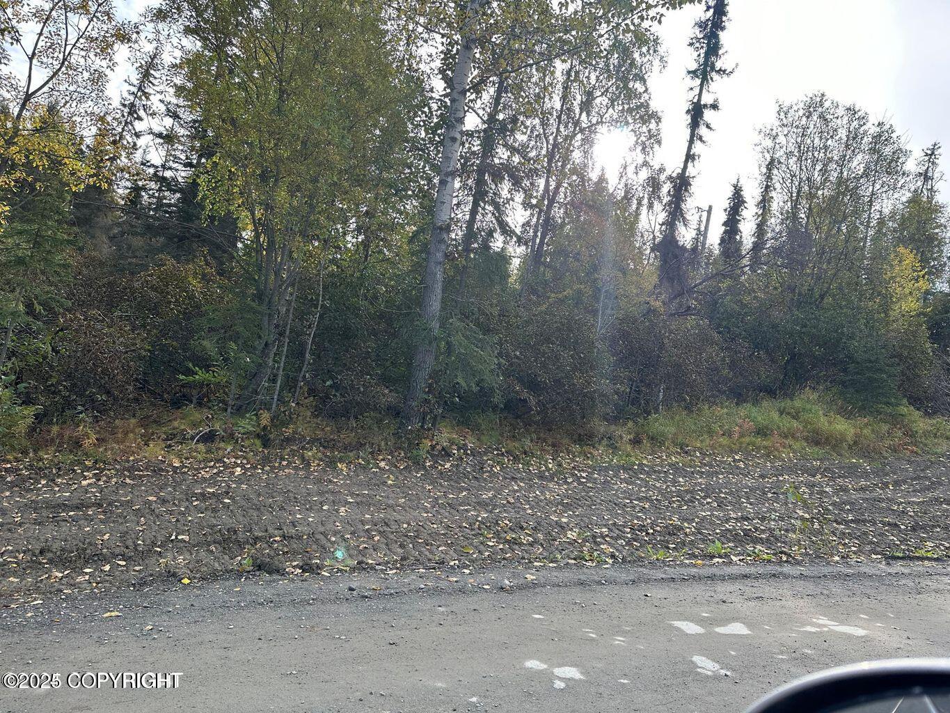36026 Birch Road, Soldotna, Alaska image 23