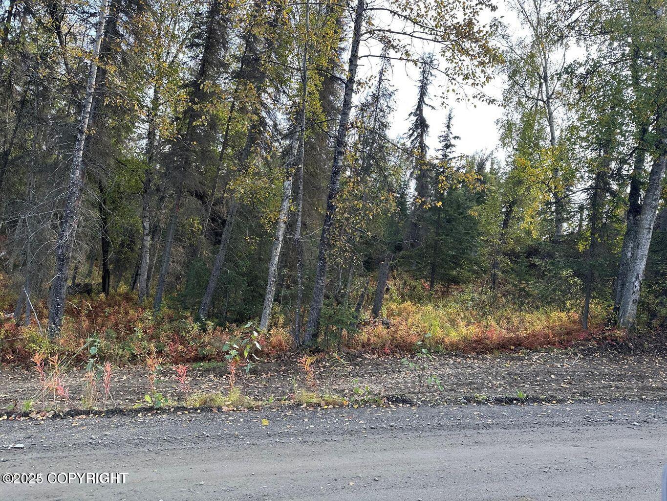 36026 Birch Road, Soldotna, Alaska image 24