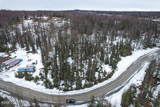 36026 Birch Road, Soldotna, Alaska image 10