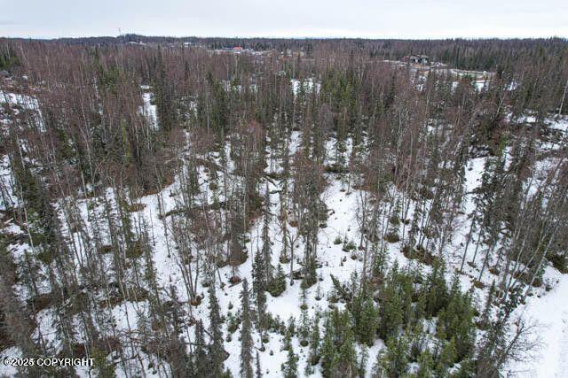 36026 Birch Road, Soldotna, Alaska image 1